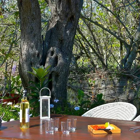 Maria Apartment Agios Matthaios (Corfu)